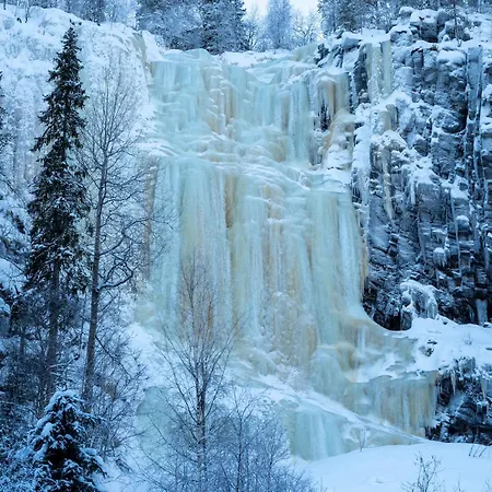 Nine Pines Family In * Rovaniemi