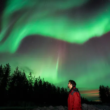 Nine Pines Family In Rovaniemi
